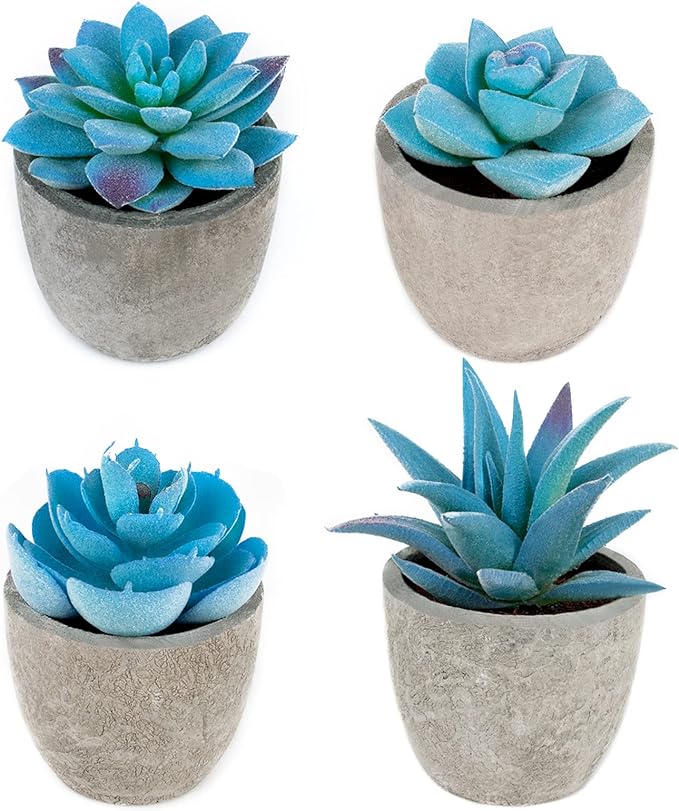 Blue Realistic Succulent Plants