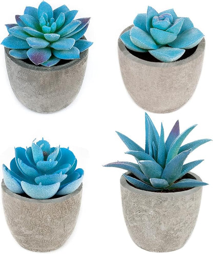 Blue Realistic Succulent Plants